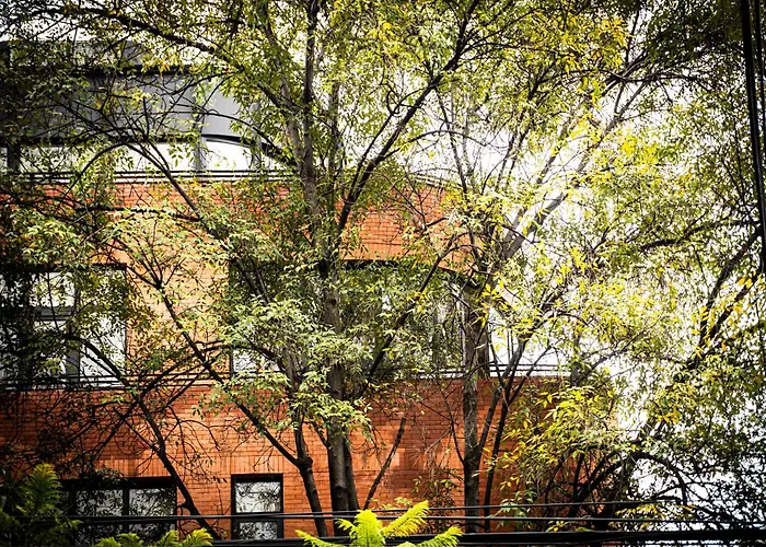 Aparthotel Ema Condesa